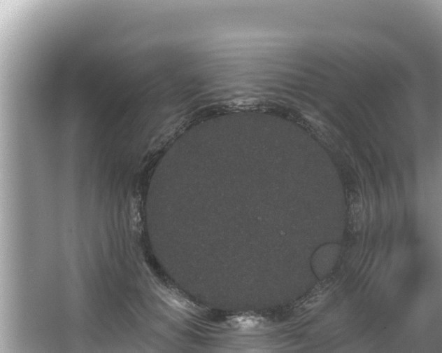 X0000067900654200604171404