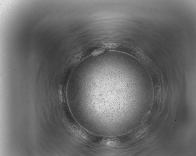 X0000067900655200604171404