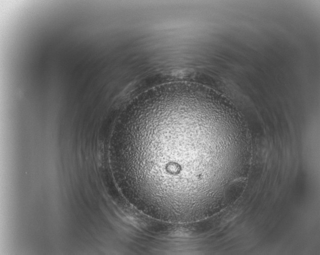 X0000067900656200604171404