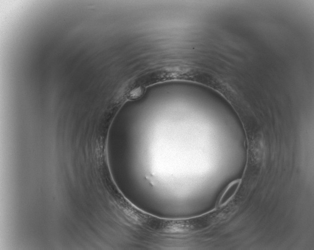 X0000067900657200604171404