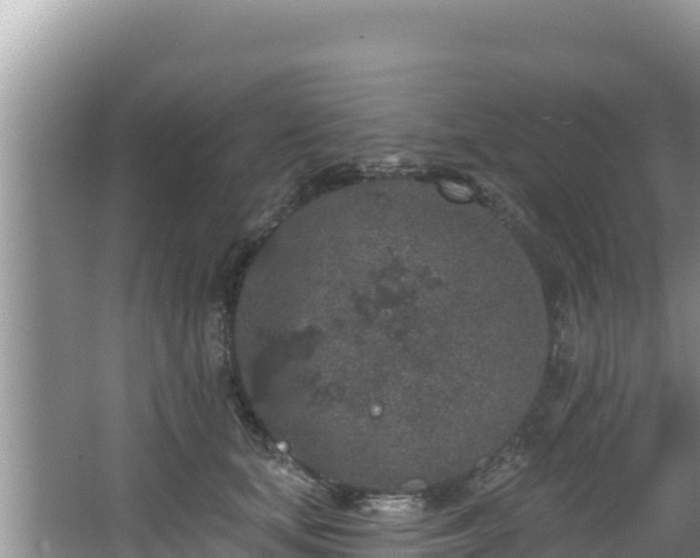 X0000067900659200604171404