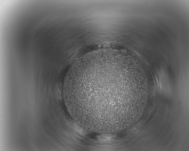 X0000067900661200604171404