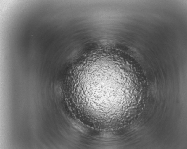 X0000067900662200604171404