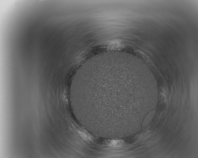 X0000067900663200604171404