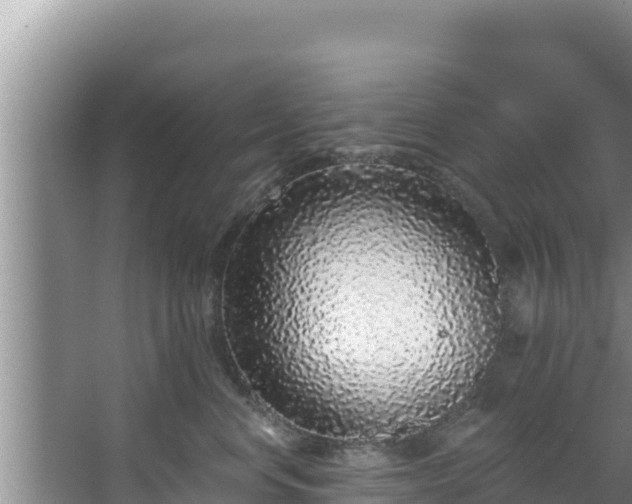 X0000067900668200604171404