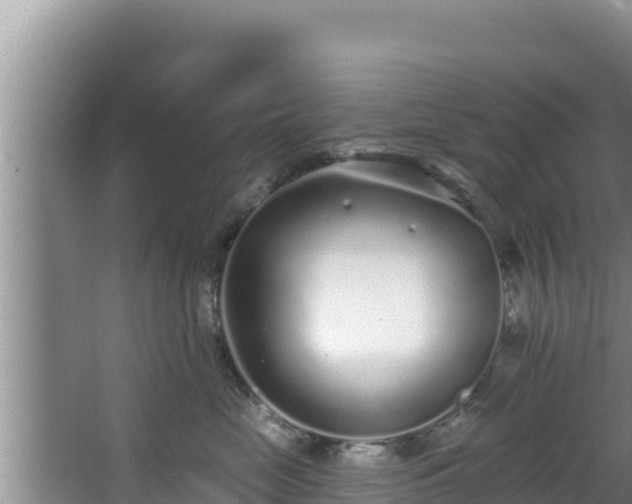 X0000067900669200604171404