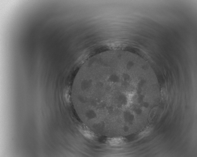 X0000067900671200604171404