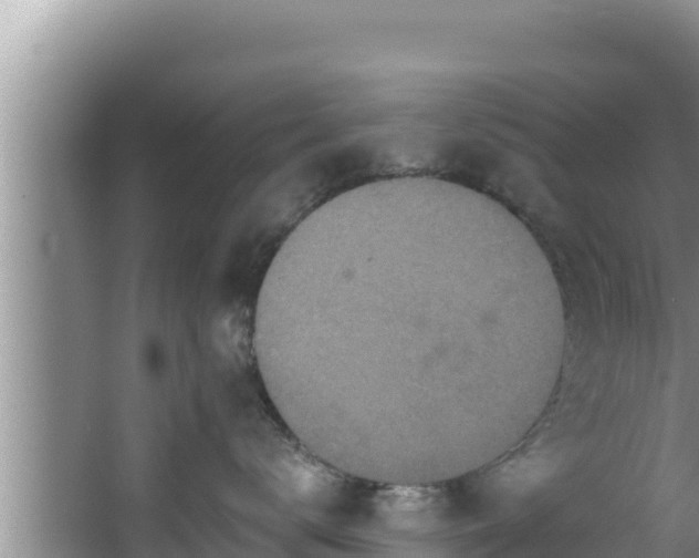 X0000067900672200604171404