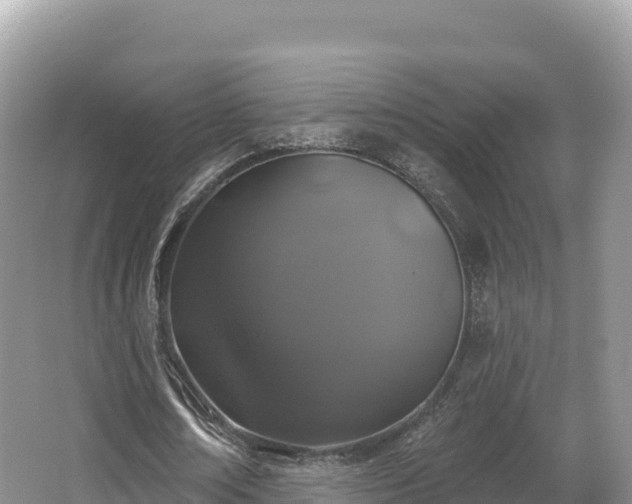 X0000067900674200604171404