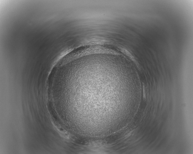 X0000067900675200604171404