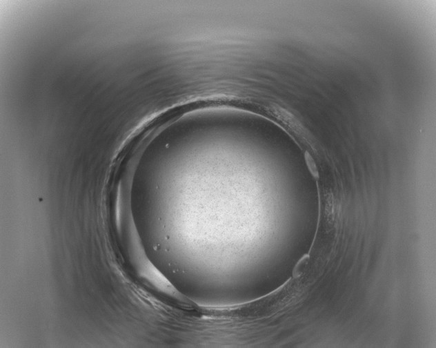 X0000067900676200604171403