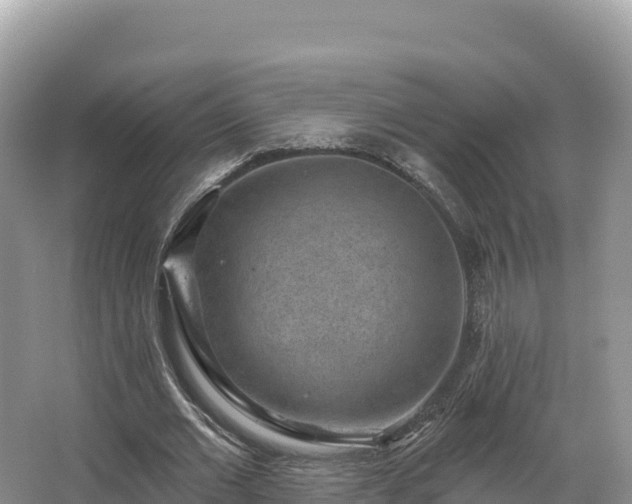 X0000067900677200604171403