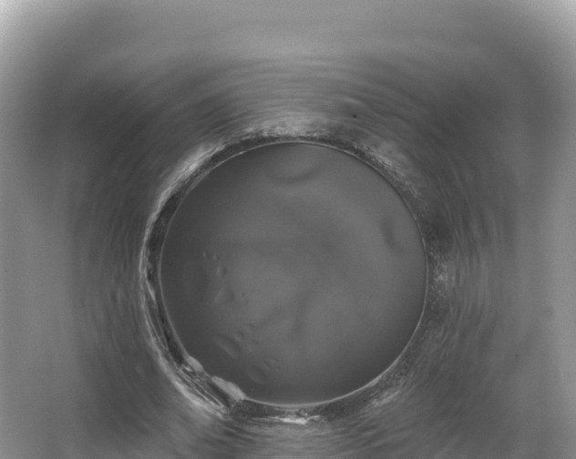 X0000067900678200604171403