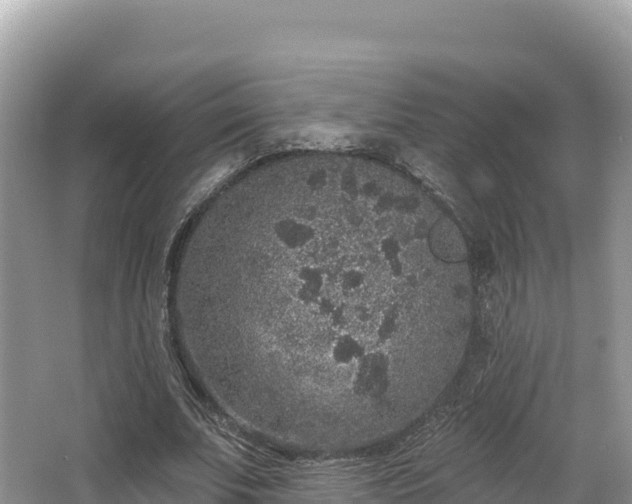 X0000067900679200604171403