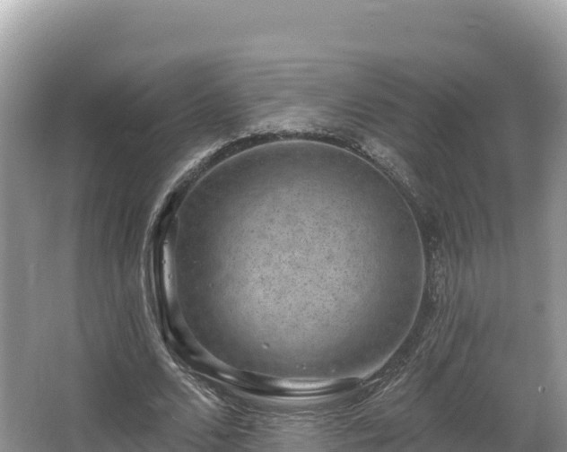 X0000067900680200604171403