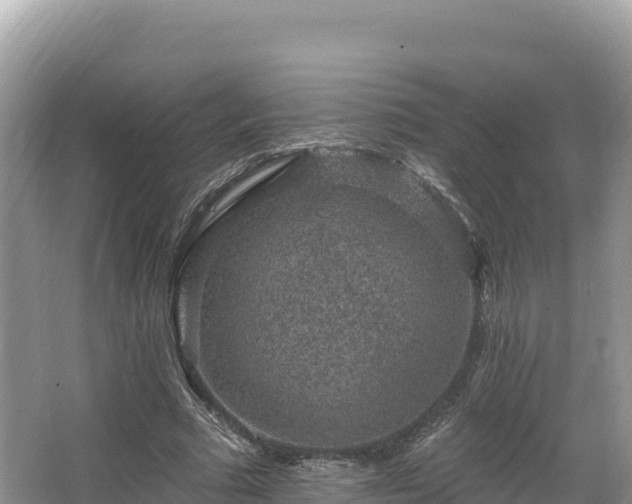 X0000067900681200604171403