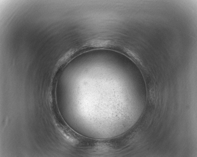 X0000067900682200604171403