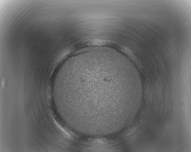 X0000067900683200604171403