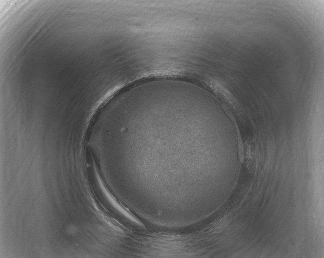 X0000067900684200604171403