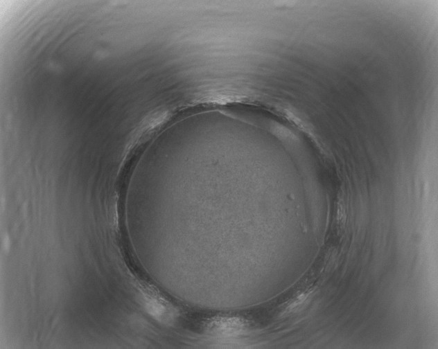 X0000067900685200604171403