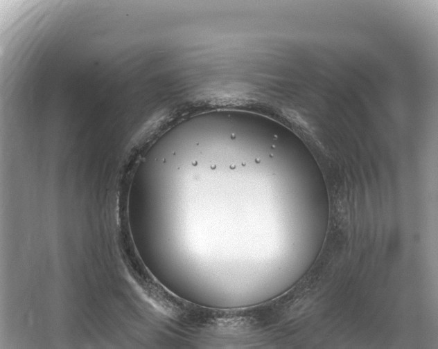 X0000067900686200604171403