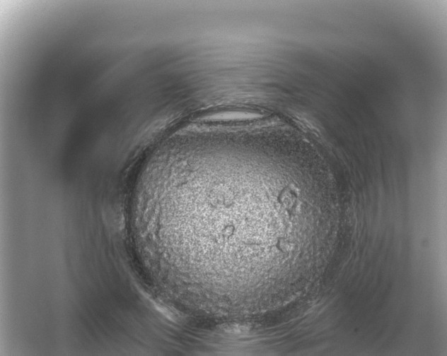 X0000067900687200604171403