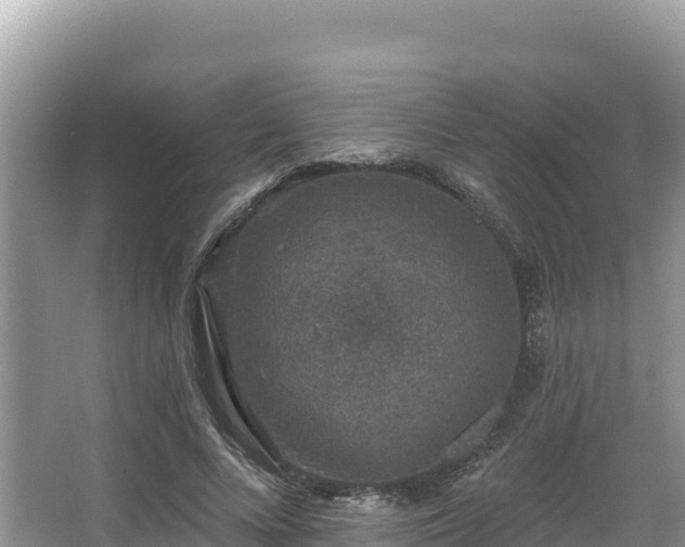 X0000067900688200604171403