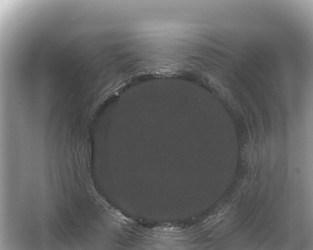 X0000067900689200604171403