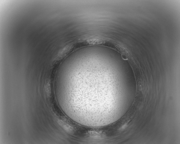 X0000067900690200604171403