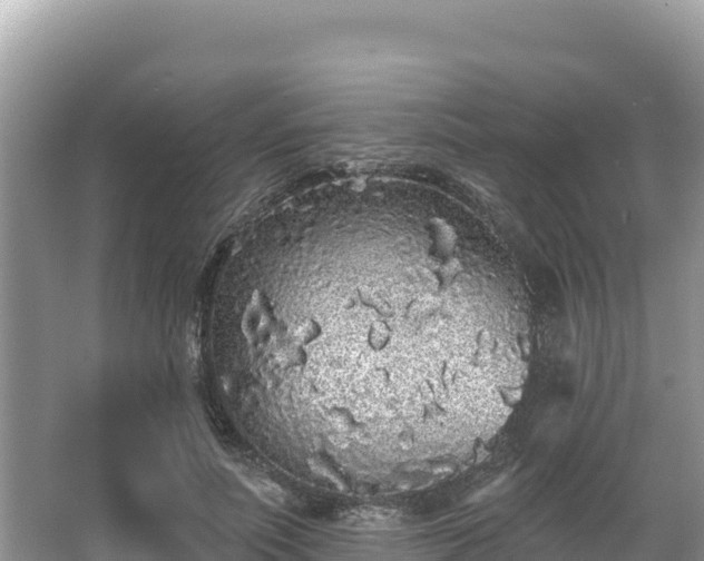 X0000067900691200604171403