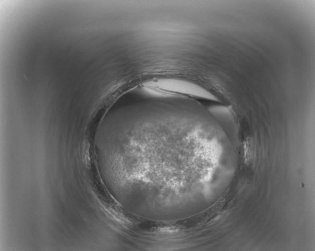 X0000067900692200604171403