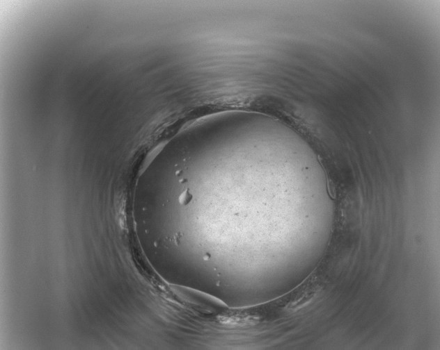 X0000067900693200604171403