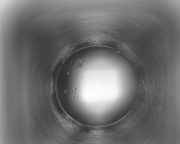 X0000067900694200604171403