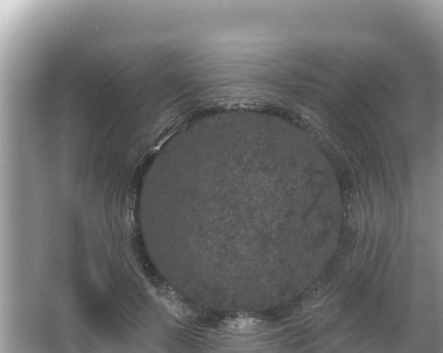 X0000067900695200604171403