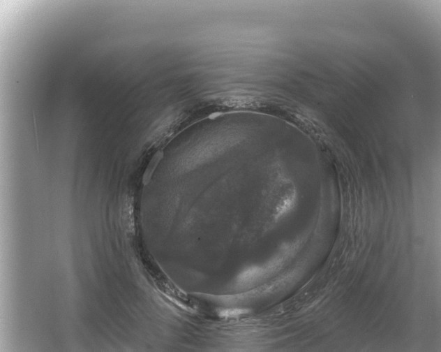 X0000067900696200604171403