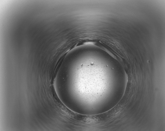 X0000067900697200604171403