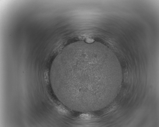 X0000067900699200604171403