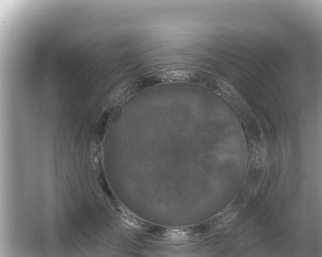 X0000067900701200604171403