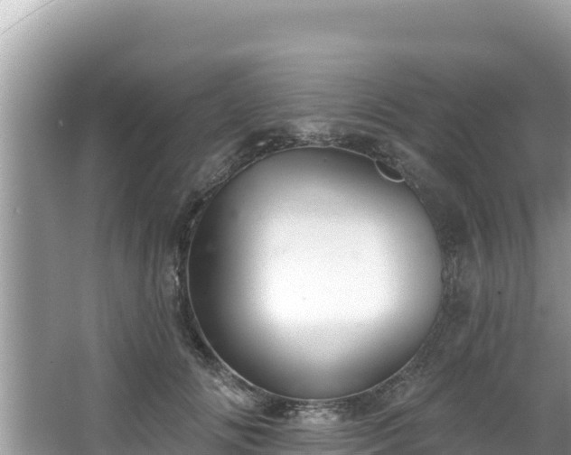 X0000067900702200604171403