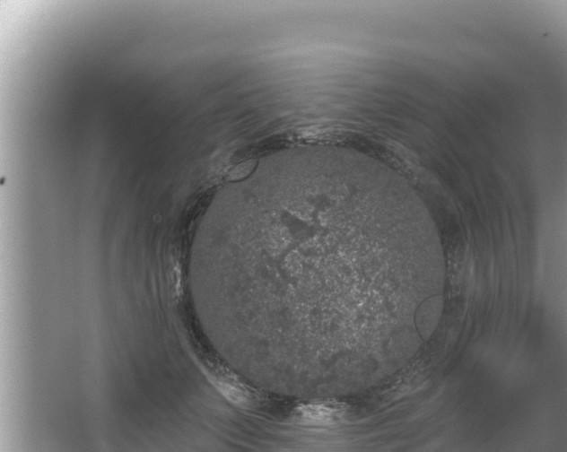 X0000067900703200604171403