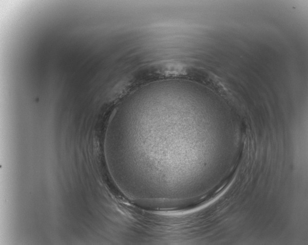 X0000067900704200604171403