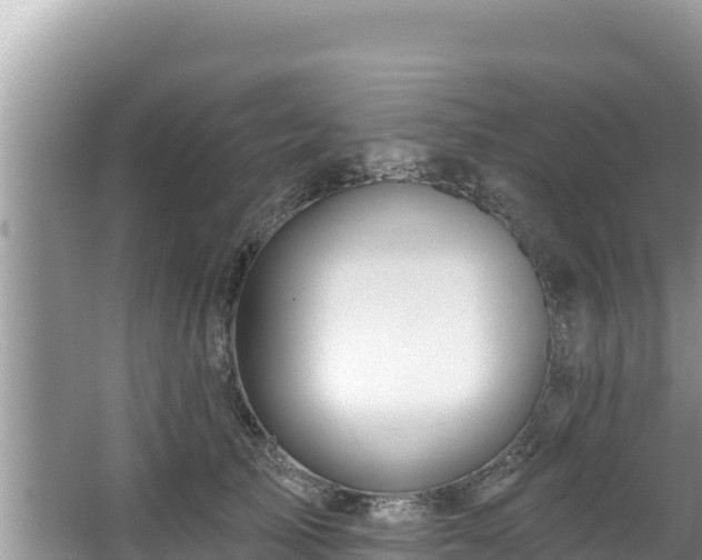 X0000067900705200604171403