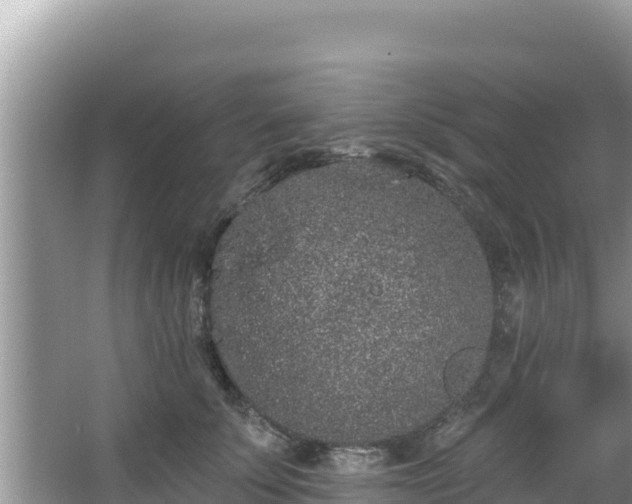 X0000067900707200604171403