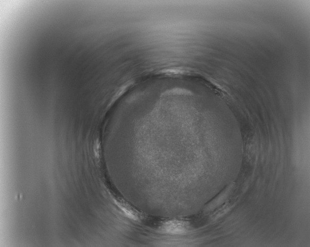 X0000067900708200604171403