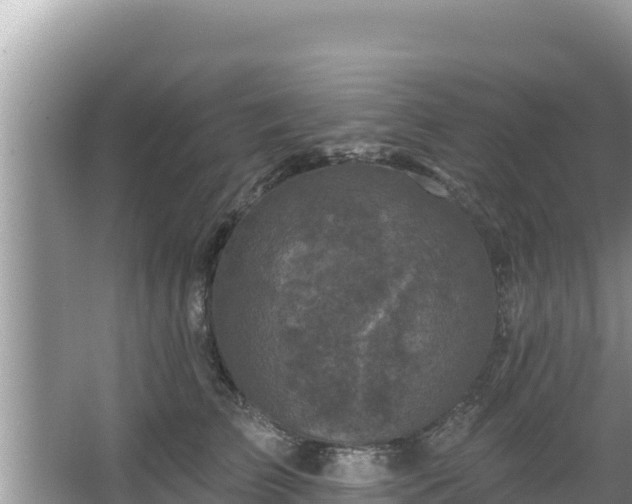 X0000067900709200604171403