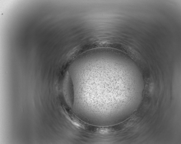 X0000067900710200604171403