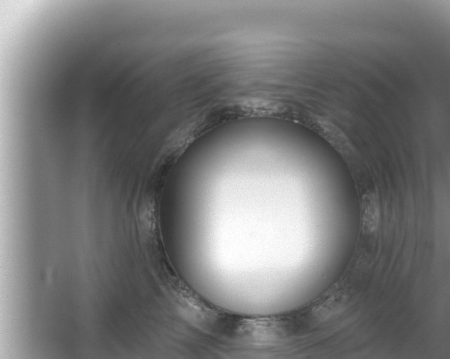 X0000067900713200604171403