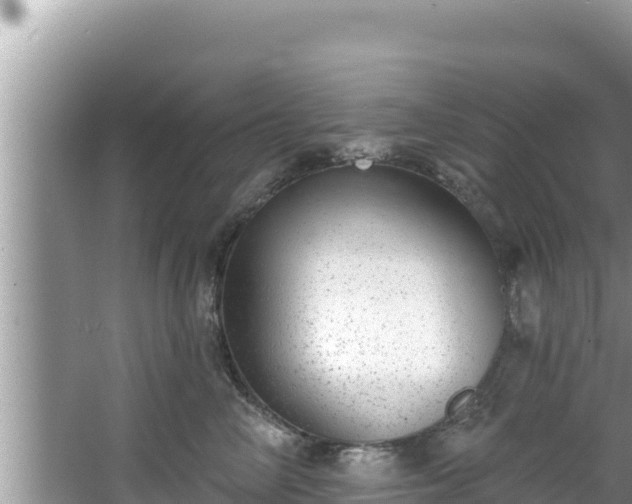 X0000067900714200604171403