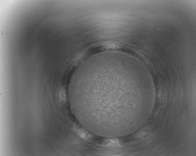 X0000067900715200604171403