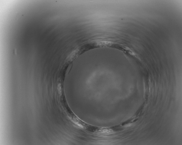 X0000067900716200604171403